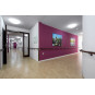 Plafoniera LED Milky fi380 24W  200W  6400K  lumina rece